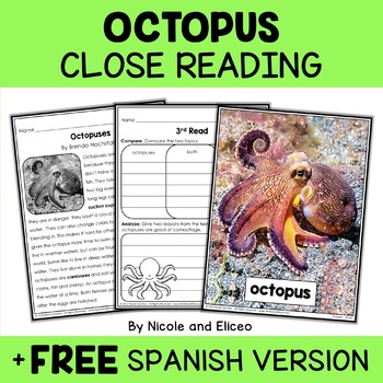 Preview of Octopus Close Reading Passage Activities + FREE Spanish