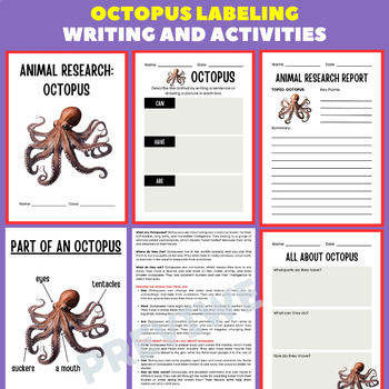 Octopus Animal Research Project Report - Information Report Activities