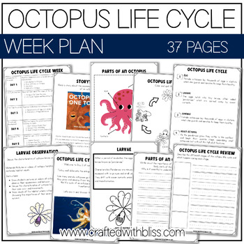 Preview of Octopus Life Cycle Week Unit Plan Science K-2 Craft Worksheet