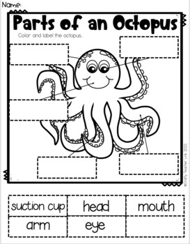 octopus report guide by natashas crafts crafty teacher