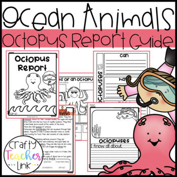 Preview of Octopus Report Guide