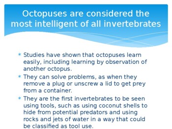 Preview of Octopuses-Intelligent Invertebrates