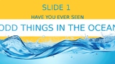 Odd Things In The Ocean - Interactive Ppt