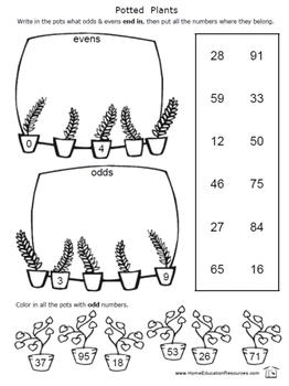 Odd and Even Worksheets by Fran Lafferty | Teachers Pay Teachers