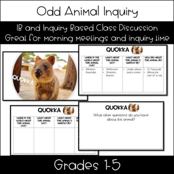 Preview of Odd animal Inquiry: 18 animal investigations for morning meeting or IB/PYP