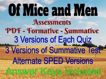 Preview of Of Mice and Men Assessments (Form and Sum) & Informative Essay Lesson w/ Sample