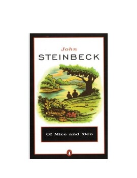 Preview of Of Mice and Men by John Steinbeck Test, Novel Assessment, Final Exam