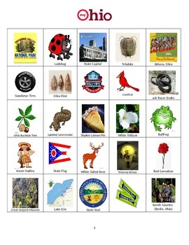 Preview of Ohio Bingo:  State Symbols and Popular Sites
