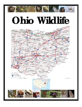 Preview of Ohio Wildlife and Environments