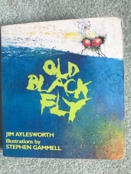 Old Black Fly Adapted Board Book