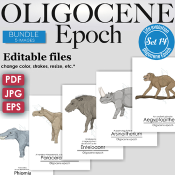Preview of Oligocene Epoch Colorful Bundle: Entelodont, Aegyptopithecus, Phiomia etc.