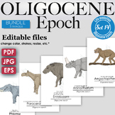 Oligocene Epoch Colorful Bundle: Entelodont, Aegyptopithec
