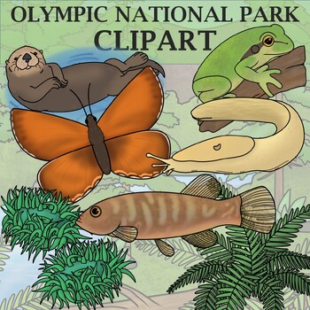 Preview of Olympic National Park Clip Art - Plants and Animals of the National Parks