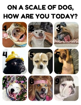 Afrihost on X: How are you feeling today, in dog scale? 🐕🔢🤪   / X