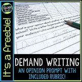On Demand Free Writing Assessment - Easy Grade Opinion Wri