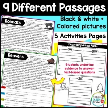 Reading Comprehension Passages Nonfiction Text Evidence BUNDLE | TpT