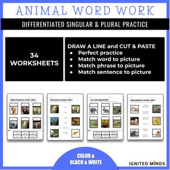 Animals Galore! Differentiated Word Work: Singular and Plural by Ignited  Minds