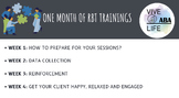 One Month RBT/Behavior TechnicianTrainings- ABA
