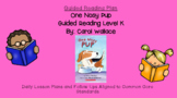 One Nosy Pup (Level K) Guided Reading Lesson Plan