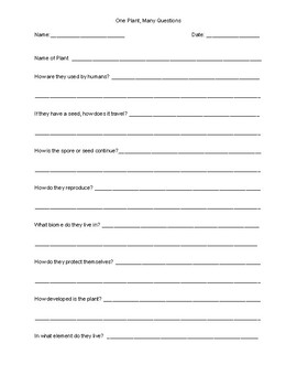 One Plant, Many Questions Packet by Moments for Montessori | TPT