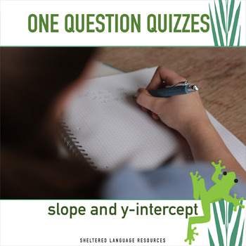 Preview of Slope and y intercept linear functions mini quiz