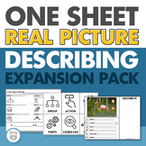 One Sheet Describing Worksheets Expansion Pack | Language 