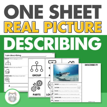 Preview of One Sheet Real Picture Describing | Printable, No Print | Vocabulary, Language