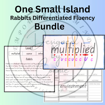 Preview of One Small Island W4 Fluency, Vocabulary & Extension Vocab Bundle