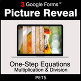 One-Step Equations - Multiplication & Division - Google Fo