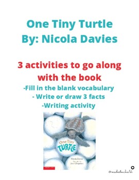 One Tiny Turtle by Nicola Davies