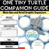 One Tiny Turtle Companion Guide | Main Idea and Detail |