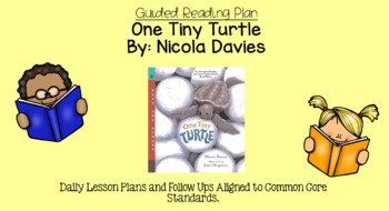 Preview of One Tiny Turtle (Level N) Scholastic Guided Reading Lesson Plan