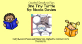 One Tiny Turtle (Level N) Scholastic Guided Reading Lesson Plan
