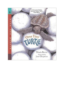 Preview of One Tiny Turtle Reading Groups