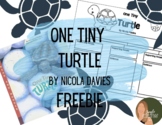 One Tiny Turtle by Nicola Davies - Tree Map (Main Idea and