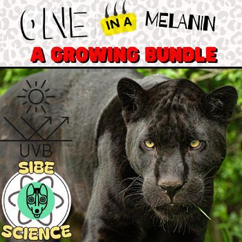 Preview of One in a Melanin | 9th| Biology| Anatomy |A Growing Bundle| Genetics| 12th