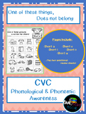 One of these things does not belong...CVC Short Vowels