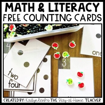 Preview of Counting Cards 1-20 | Pre-K Printables | Homeschool Toddler Activities Preschool
