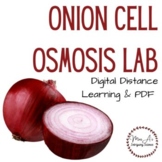 Onion Cell Osmosis Lab Activity & Review Questions (PDF & 