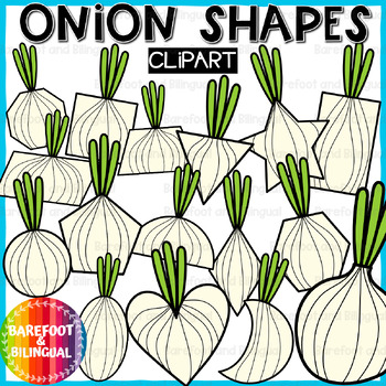 Preview of Onion Clipart Shapes - 2D Shape Veggie Clipart