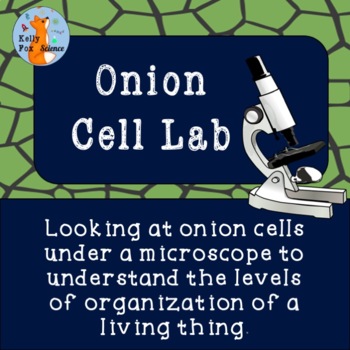 Preview of Onion Microscope Lab: Levels of Organization of Living Things