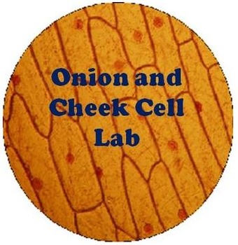 Preview of Onion and Cheek Cell Science Experiment Worksheets - Organelles