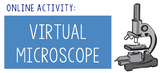 Online Activity: The Virtual Microscope