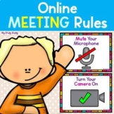 Online Learning Rules (Online Learning Expectations & Etiq
