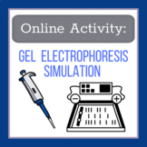 Online Simulation: Gel Electrophoresis