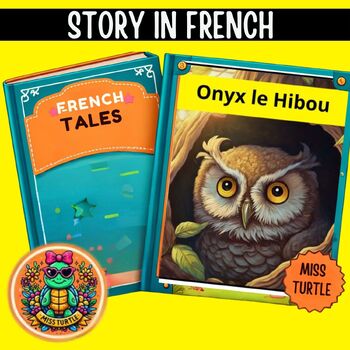 Preview of Reading comprehension Onyx le hibou An Inspiring  2024 |  Short Stories French L