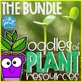 Oodles of Plant Resources ● THE BUNDLE