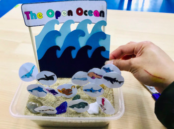 Open Ocean Habitat - Animal Craft Project by American Pacific Schools
