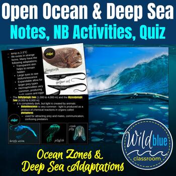 Preview of Open Ocean and Deep Sea Notes and Quiz | Ocean Zones