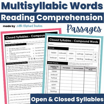 Preview of Open and Closed Syllables Worksheets Reading Comprehension w Multisyllabic Words